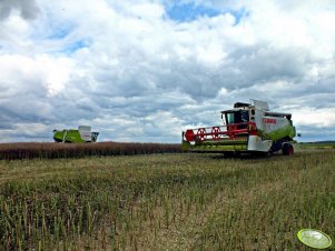 Claas Lexion 670 + 450
