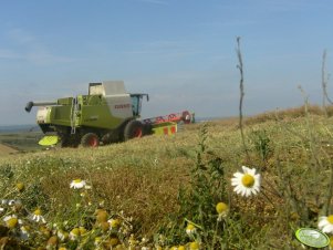 Claas Lexion 670 Montana 