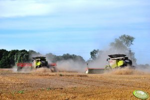 Claas Lexion 770 TT V12 i Lexion 600 TT V12