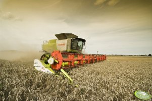 Claas Lexion 770