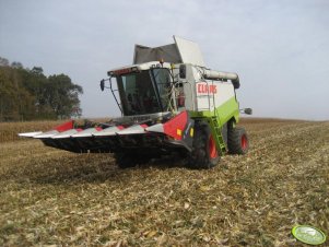 Claas Lexion + Dominoni 