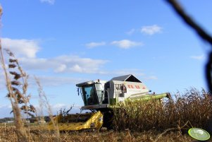 Claas Medion 310 + New Holland