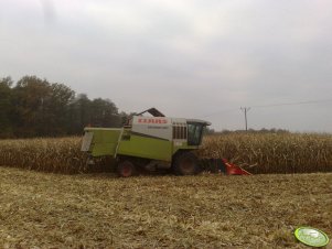 Claas Medion 310 + Olimac Drago