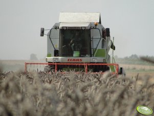 Claas Medion 310