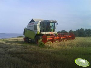 Claas Medion 310