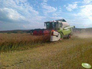 Claas Medion 310