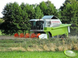 Claas Medion 310