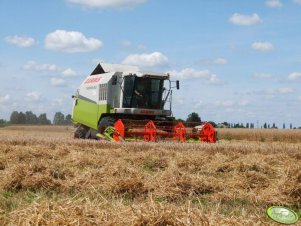 Claas Medion 310