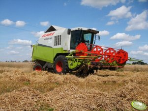 Claas Medion 310