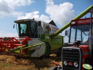 Claas Medion 310