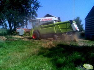 Claas Medion 310