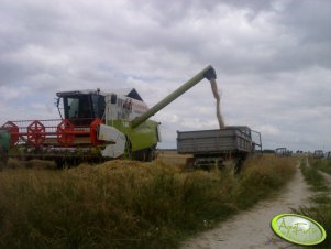 Claas Medion 310