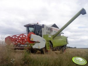 Claas Medion 310 