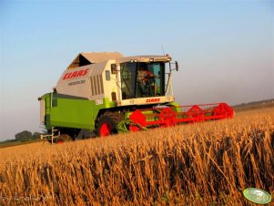 Claas Medion 310