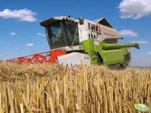 Claas Medion 310