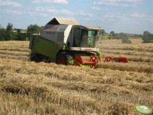 Claas Medion 310