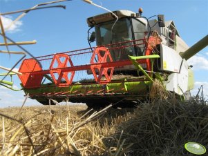 Claas Medion 310