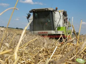 Claas Medion 310