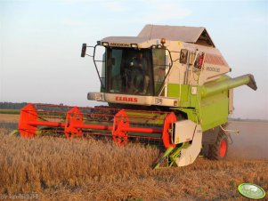 Claas Medion 310