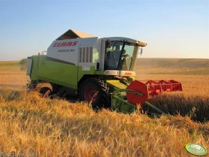 Claas Medion 310