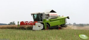 Claas Medion 310