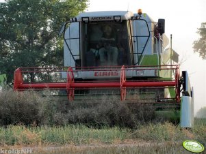 Claas Medion 310