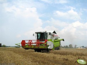 Claas Medion 310