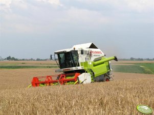 Claas Medion 310