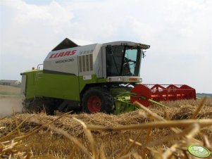 Claas Medion 310