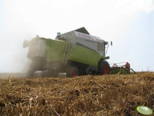 Claas Medion 310