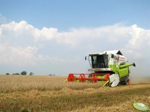 Claas Medion 310