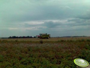 Claas Medion 340