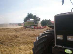 Claas Mega 208 + C600AC