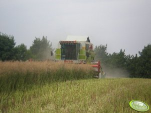 Claas Mega 208 + C600AC