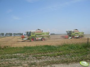 Claas Mega 208 x2