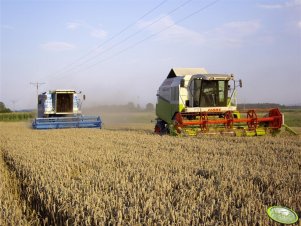 Claas Mega 350 & Bizon BS Z110