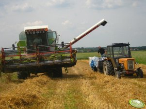 Claas Mega Dominator 203 & Ursus C-360