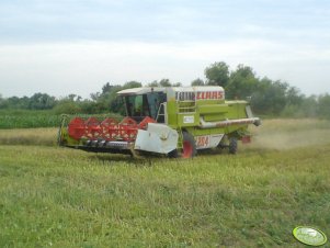 Claas Mega Dominator 204