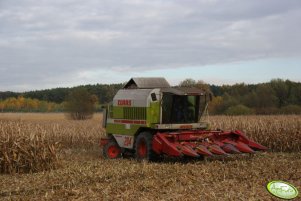 CLAAS MEGA DOMINATOR 204