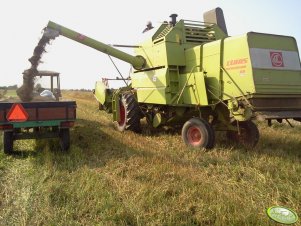 Claas Mercator 60 & Przyczepa z gryką