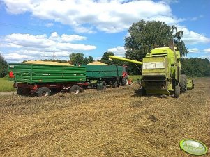 Claas Mercator 70 i Ursus 3512 + przyczepy