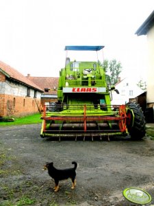 Claas Mercator 75