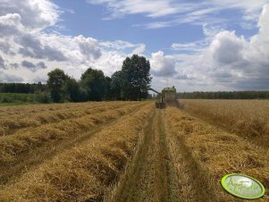Claas Senator