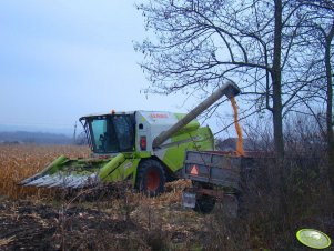 Claas Tucano 320