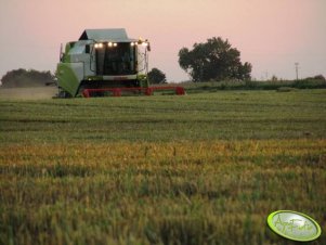 Claas Tucano 320