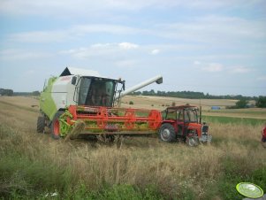 Claas Tucano 430 + MF 255
