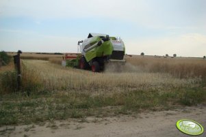 Claas Tucano 430