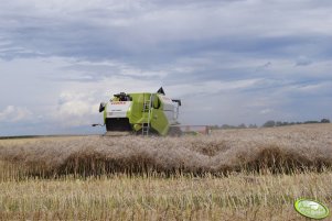 Claas Tucano 440