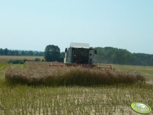 Claas Tucano 450 + C600