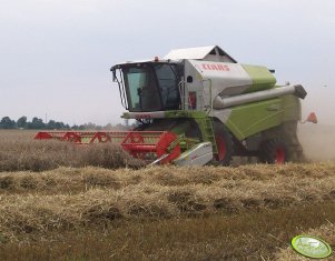 Claas Tucano 450